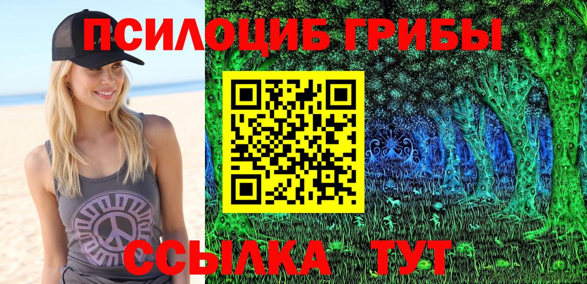 Псилоцибиновые грибы Psilocybe  дарнет шоп  Славянск-на-Кубани  Вход с VPN  Псилоцибиновые грибы Magic Shrooms 