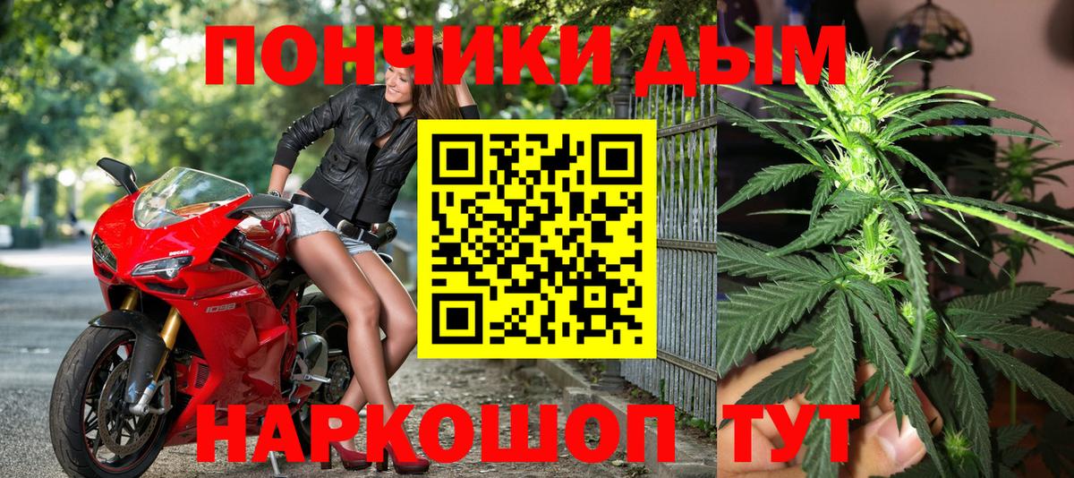 Каннабис план Славянск-на-Кубани